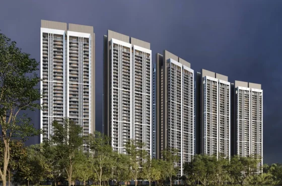 DLF
