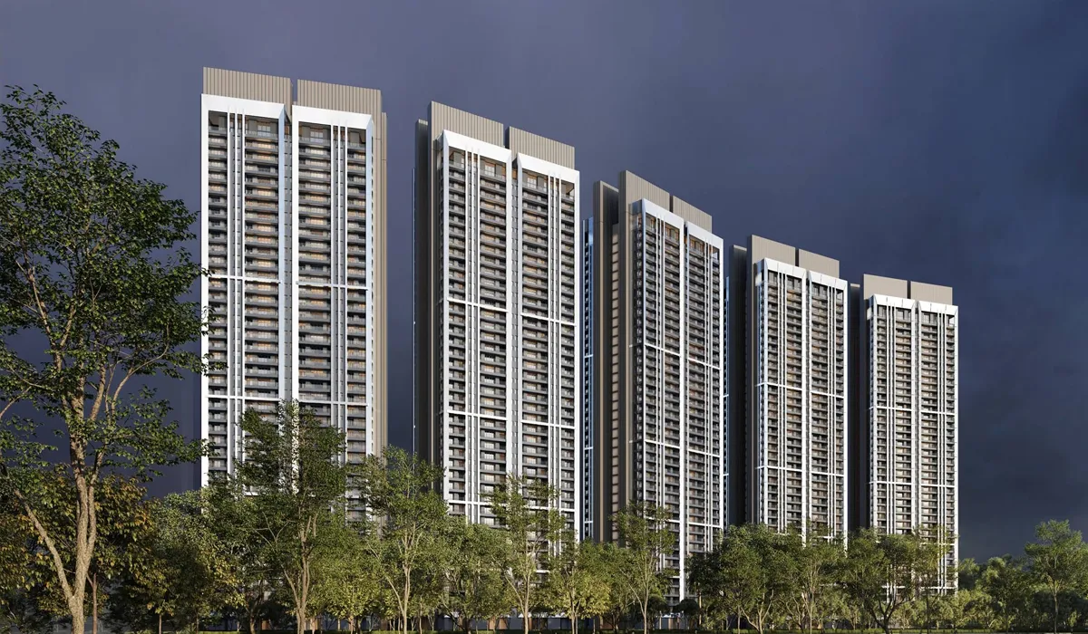 DLF